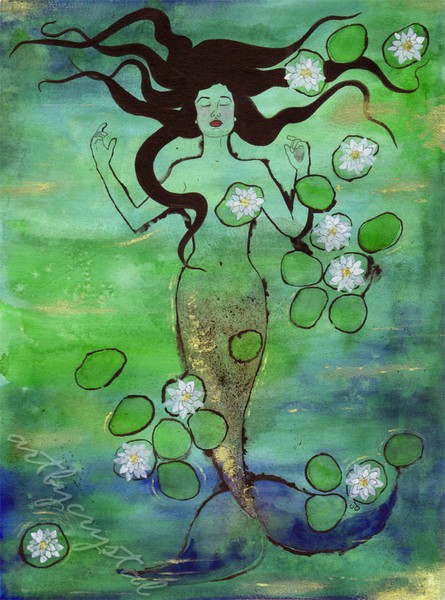 Water Lily