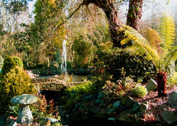 PEACEFUL GARDEN IN GUERNSEY