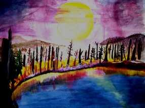 Forest Fire