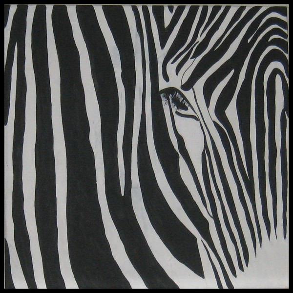 my zebra