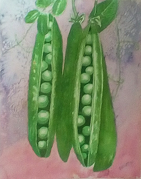 Peas in a Pod