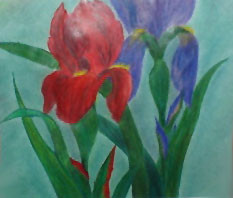 Iris