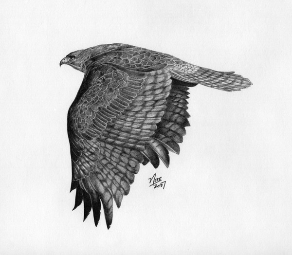 In flight