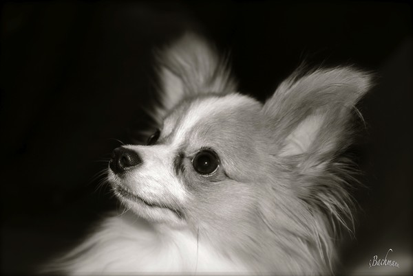  My best friend Oliver !