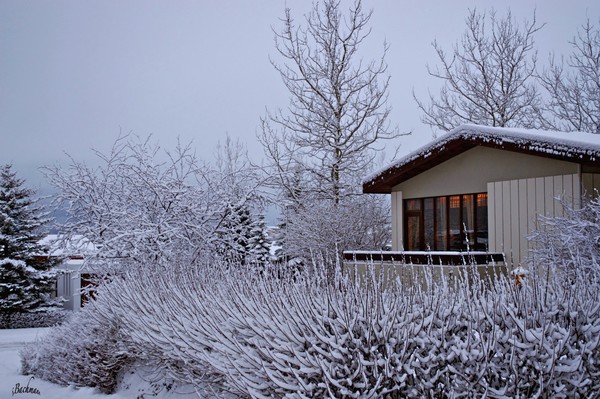  Cold, but warm inside !