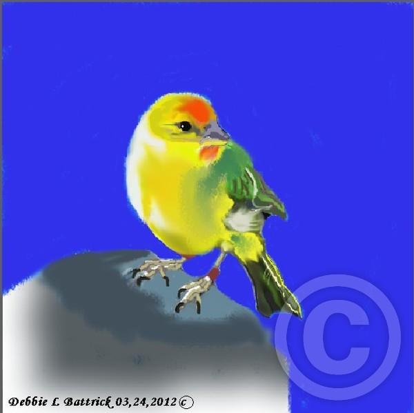 YELLOW BIRD