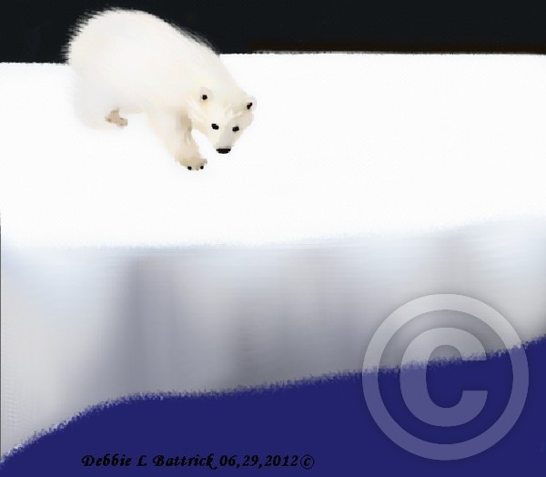 My Little Polar Bear