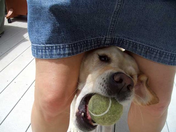 Annie and the Ball