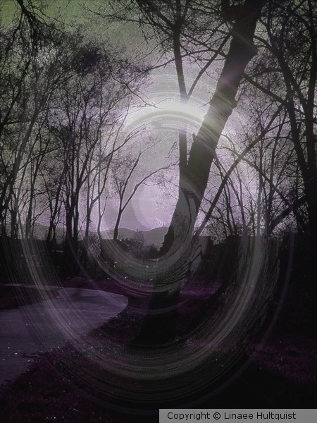Whispering Winds
