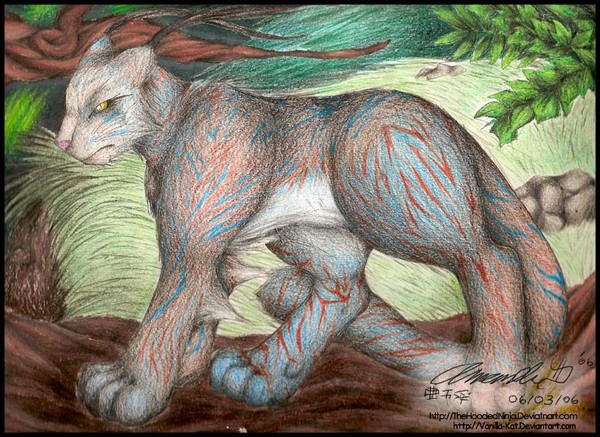 Tora - West/Forest