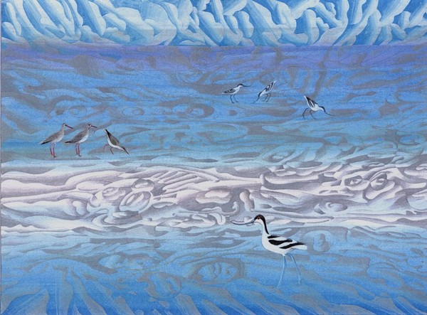 Avocets and Redshanks