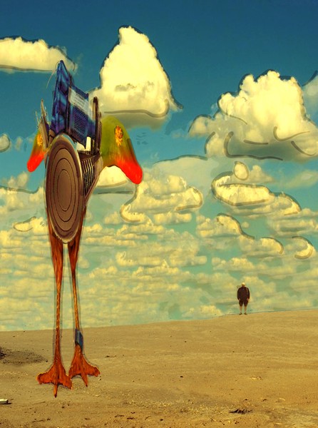 mechanical chick on montezuma shore