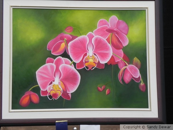 Orchids 