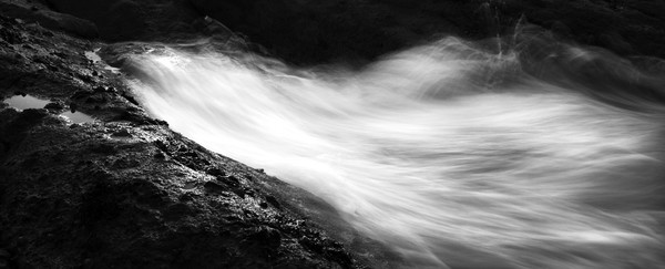 Movement