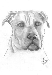 APBT 2