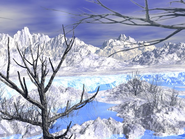 In The Winter