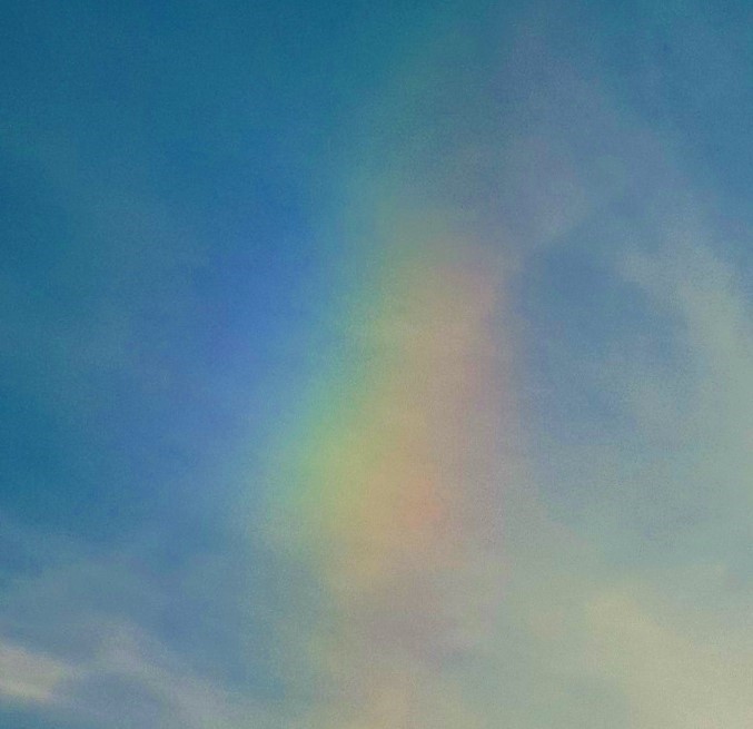 nice colors