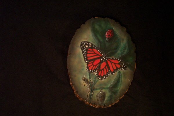 butterwings