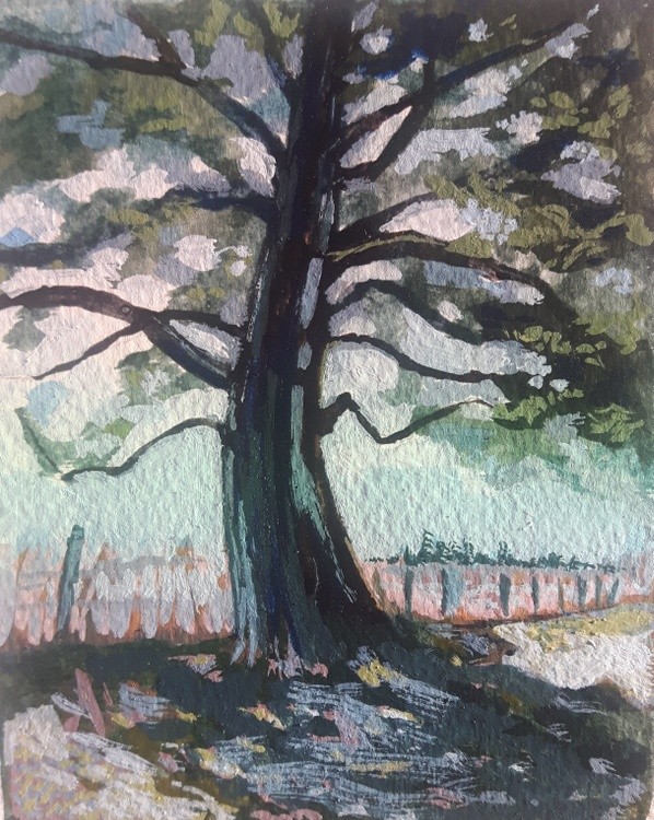 Shade and Shelter