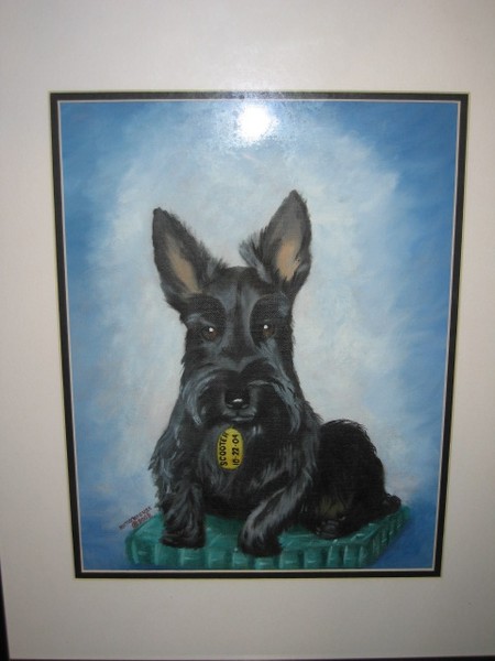 Scooter the Scottie
