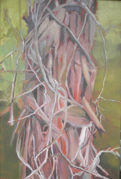 Tangled Tree