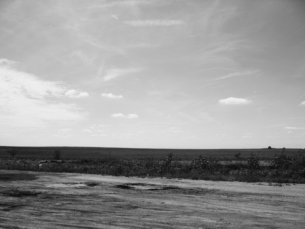 kansas 06