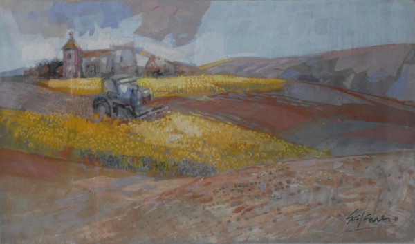 The gillotina of the sunflowers