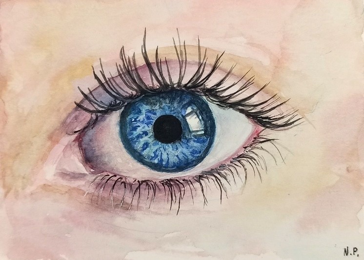 Human eye