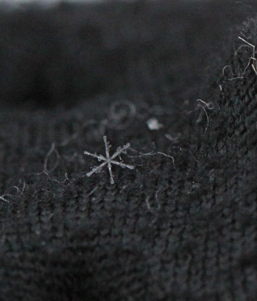 a Perfect Snow Flake