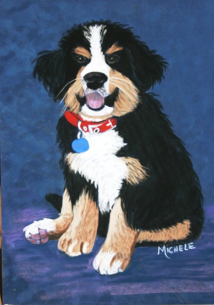 Burmese Mountain Pup