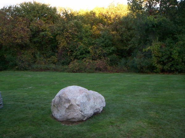 Rock in Field