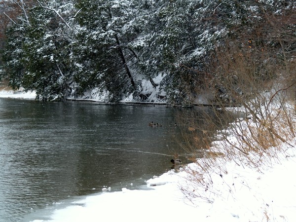 Winter Creek