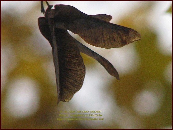..it is..all in the air..