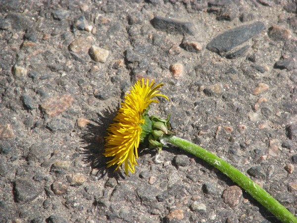 ..found on the...