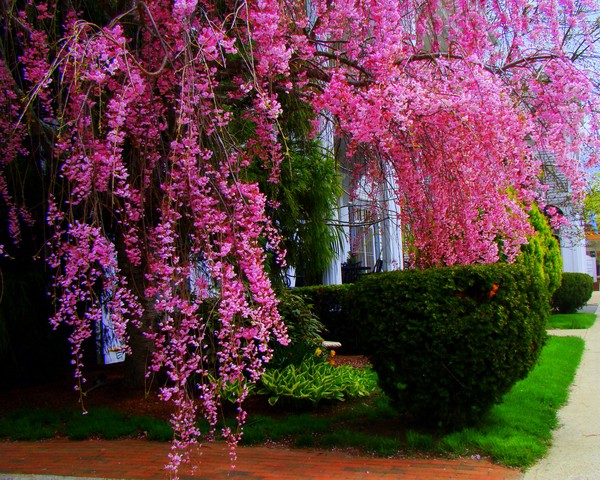 springtime in ct