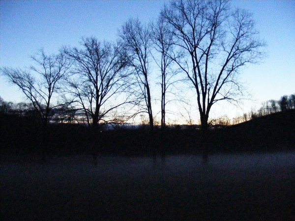 blue evening