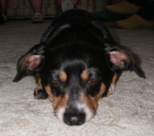 Oscar