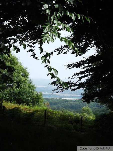 A Special View