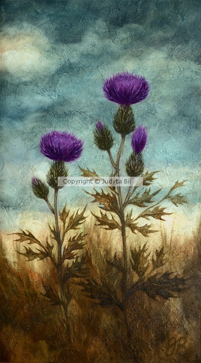 Thistles V