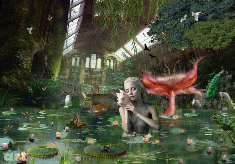 Mermaid fantasy world