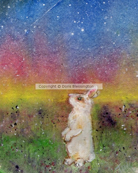 Rabbit in the Galaxy 2