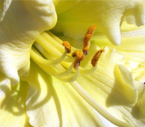 Spring up close