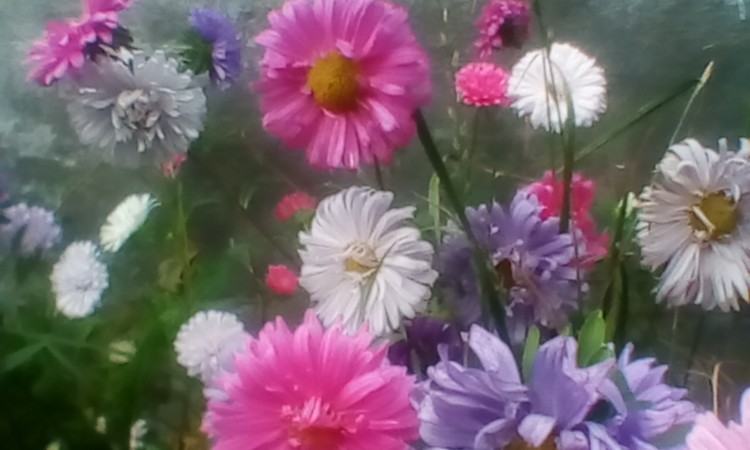 Colors