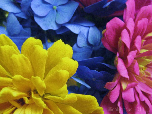 Three Colors
