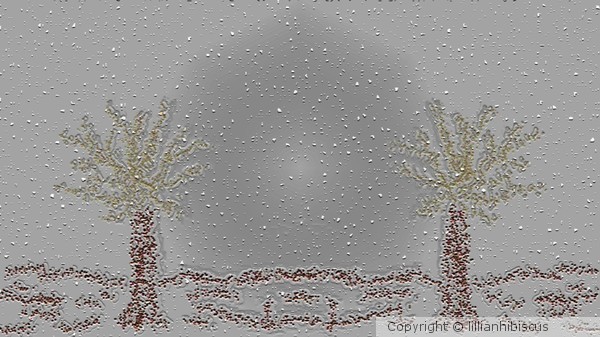 Snowstorm