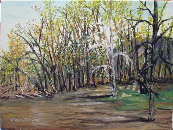 Fort Smith Park
