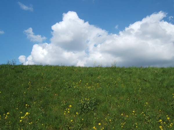It's spring!