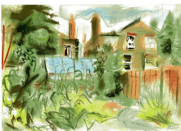 back yard 2