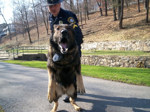 K-9 Officer 