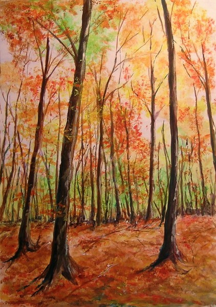 Forrest in Fall
